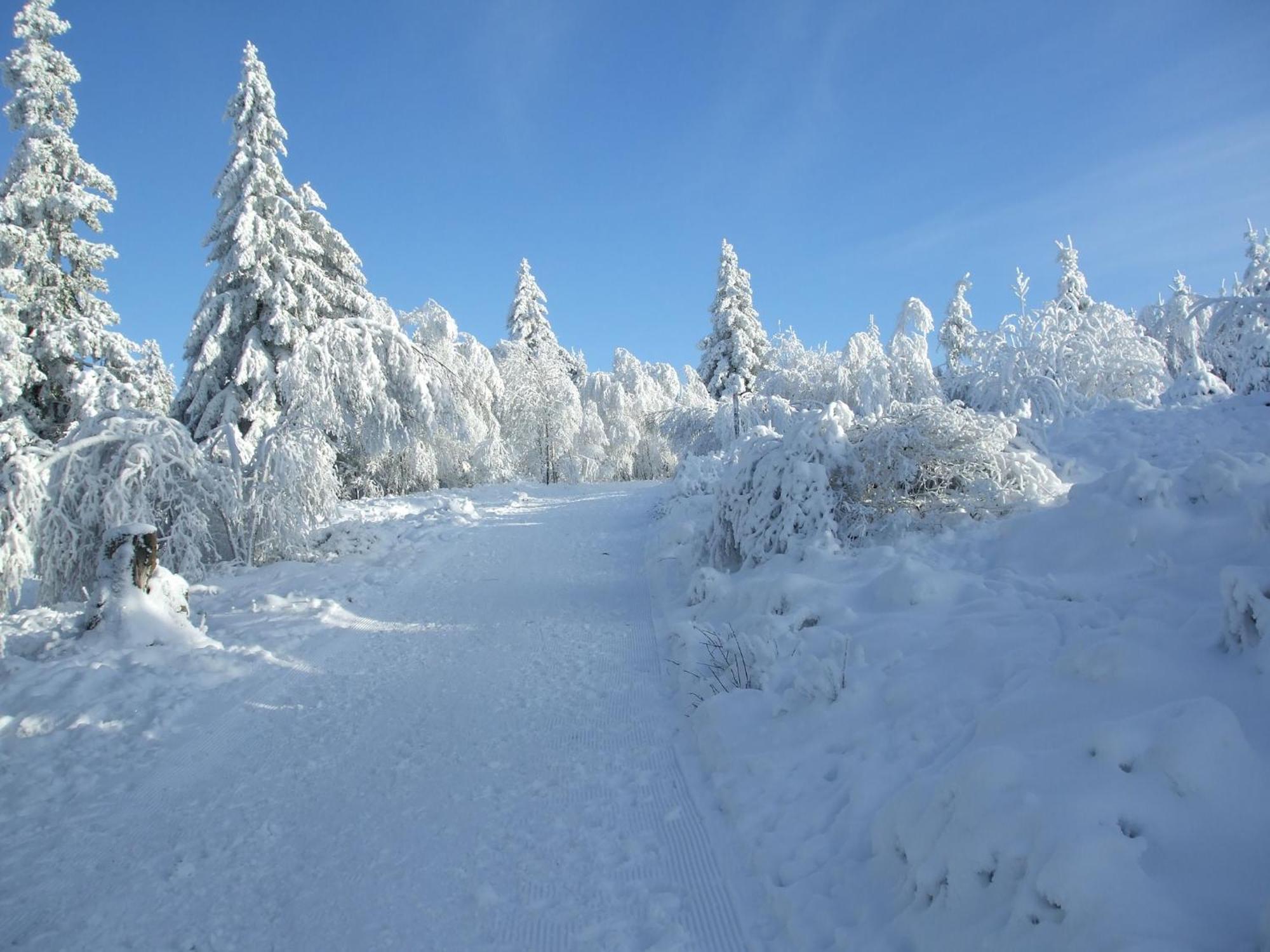 Ferienwohnung Hankeln Winterberg Buitenkant foto